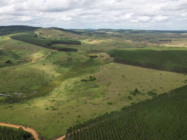 #F96 - Fazenda para Venda em Itagimirim - BA - 3