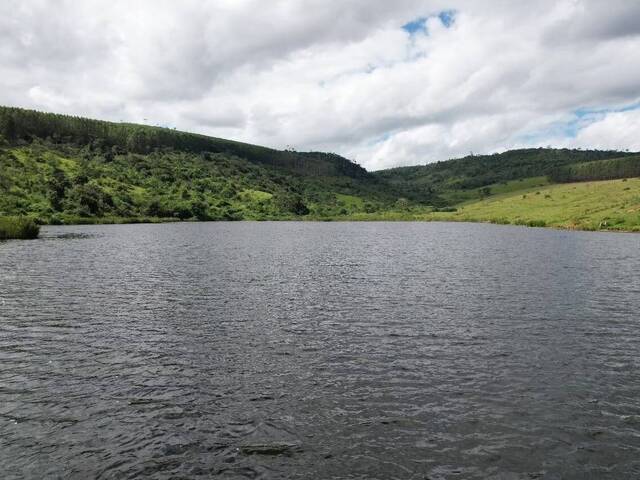 #F96 - Fazenda para Venda em Itagimirim - BA - 2